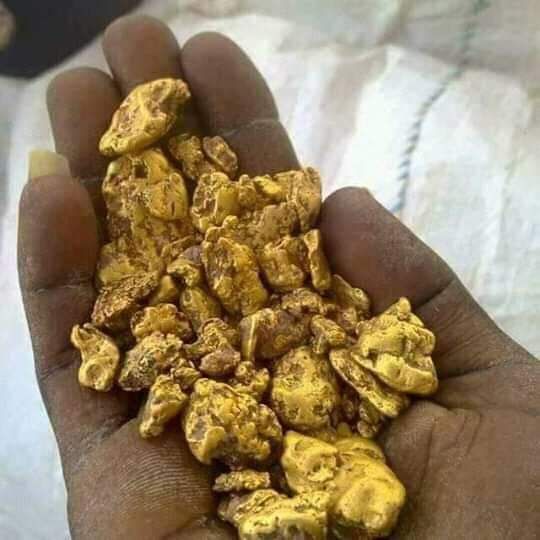 Liberia field activity